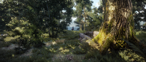 Witcher 1000 times better