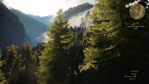 The Witcher 3.
