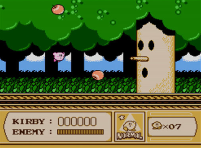 Kirby's Adventure.